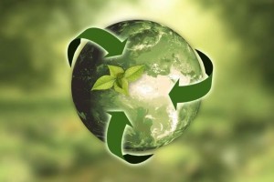 ‘Sustainability’ The Need of the Hour